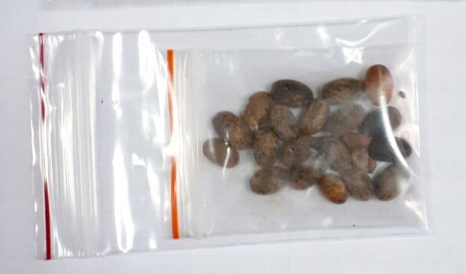 Kraljevsko zrno 21kom