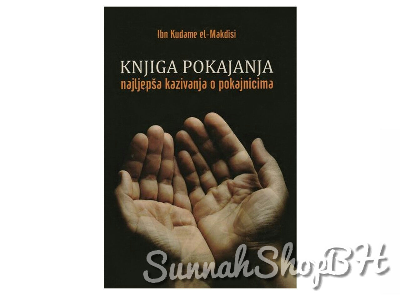 Knjiga pokajanja