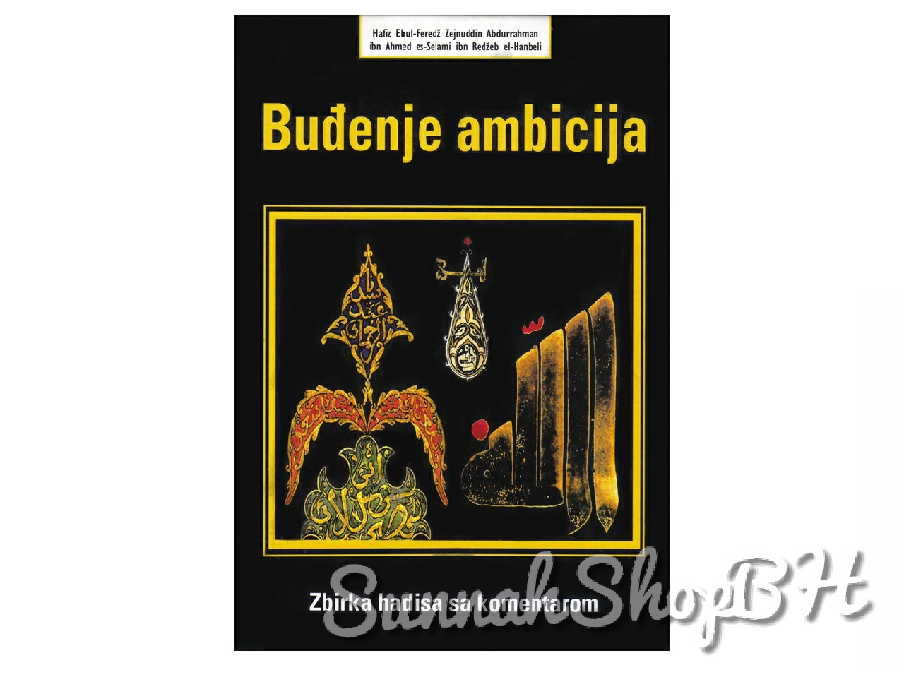 Buđenje ambicija