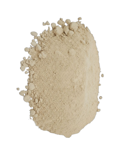 Indijski kostus | bijeli - 50gr