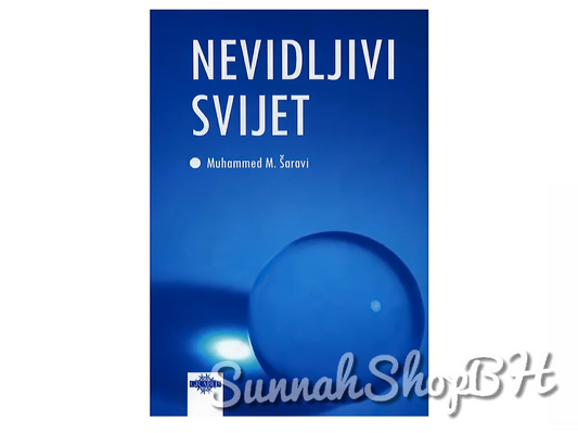 Nevidljivi svijet